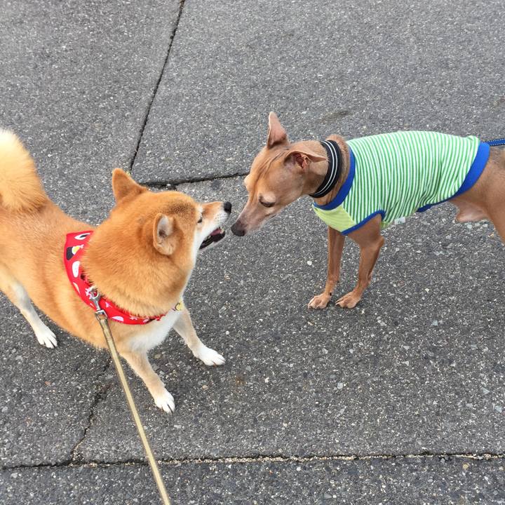 1e170074 ab63 4f21 9e5b 25b0c14b0a69