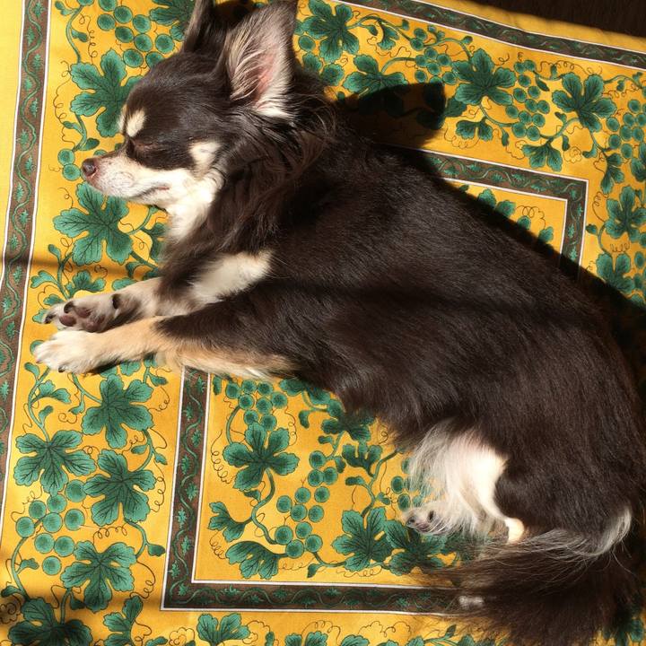 1e1720f5 ed51 4af8 a8eb 1ac6c5b73837