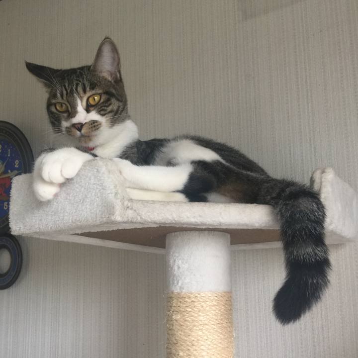 1e1746a9 bd75 4c84 880a 303593567cd7