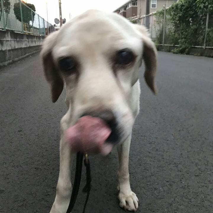 1e180705 7508 4843 9796 3f31844b3c46