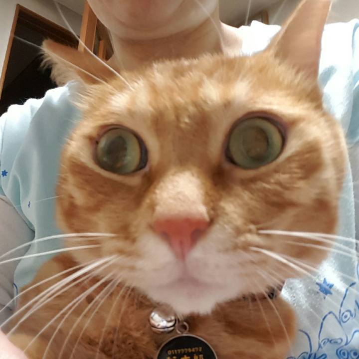 1e183fb7 a34c 430f be25 26419bcc0ed8