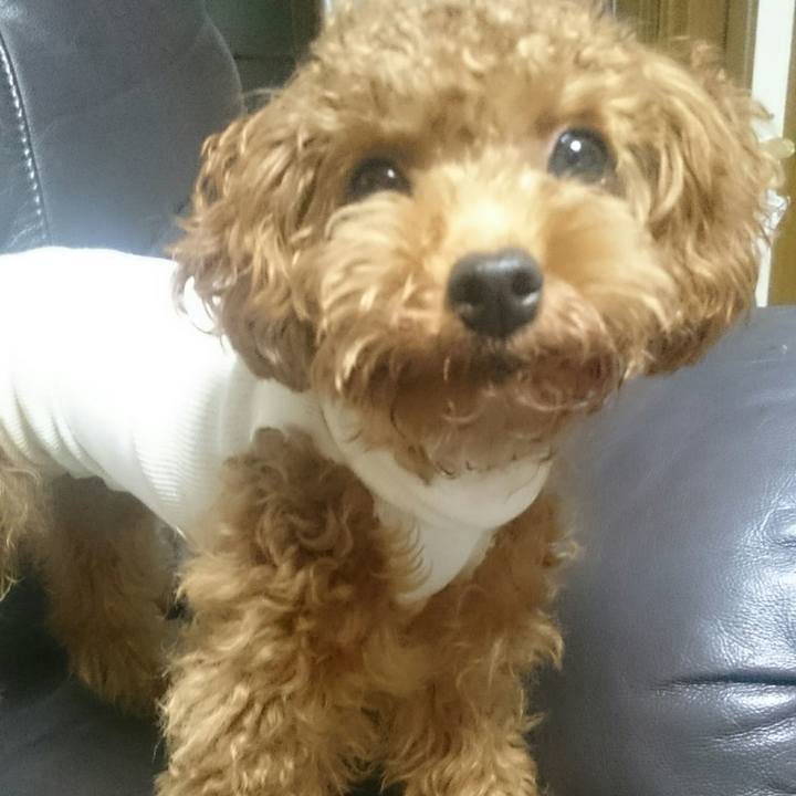 1e18a654 9ac9 483c a64b 3c395004854d