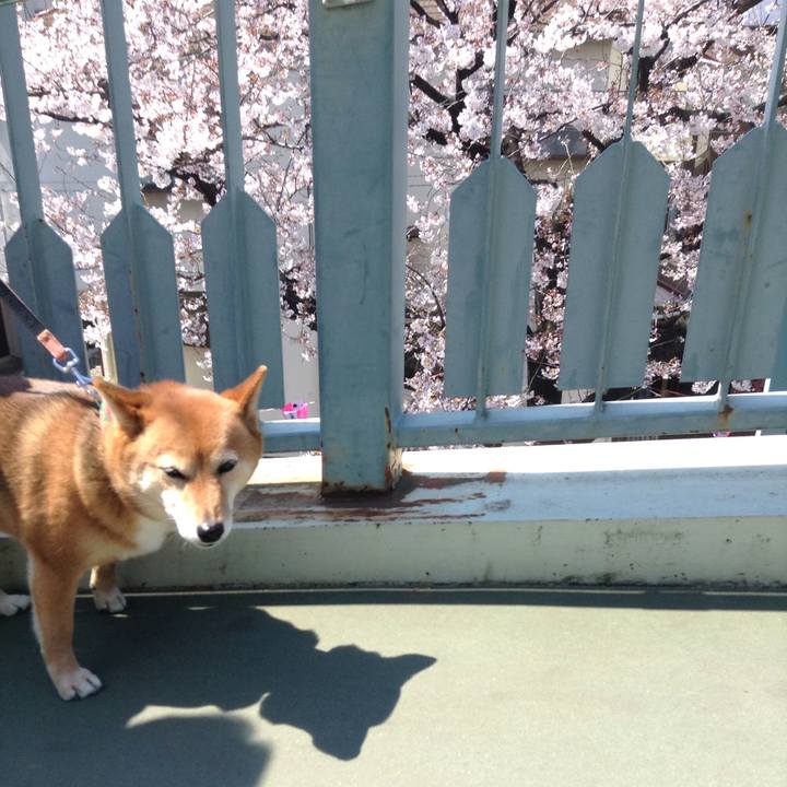 1e1927d3 4c64 4656 acb3 efc7a2e99f84