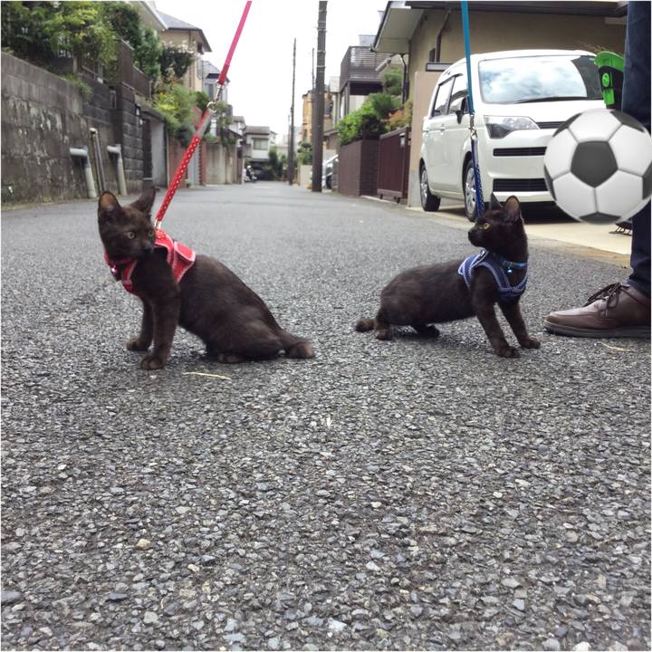 1e193d2e f121 4e07 a53b 77bcb7e4ba2d