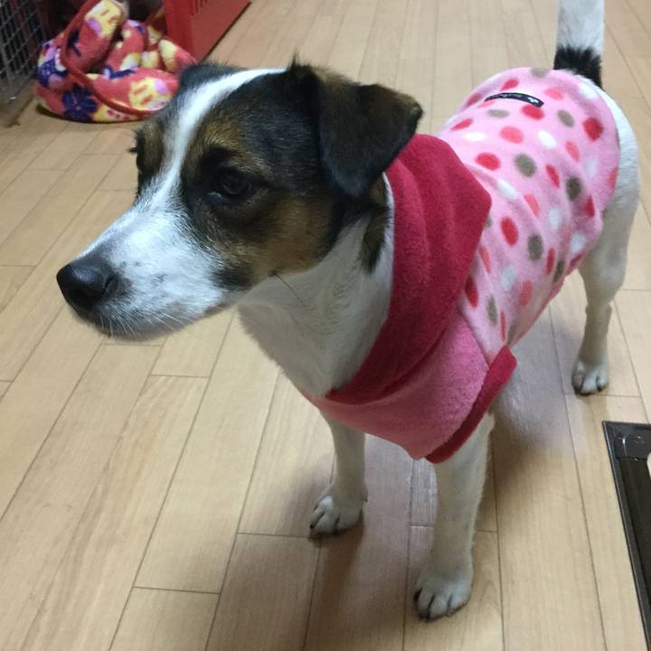 1e194aae 4889 4f1e b663 493390f6f531