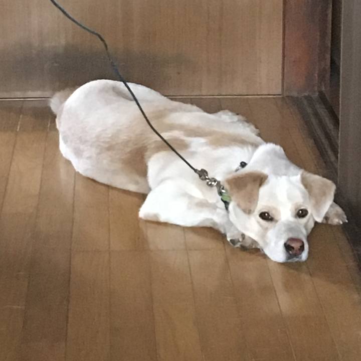 1e19977e 9b56 46f1 a0e3 f5def1c756b9