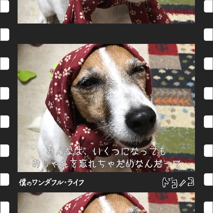 1e19afd7 7390 4ced 944a cdcad240da52