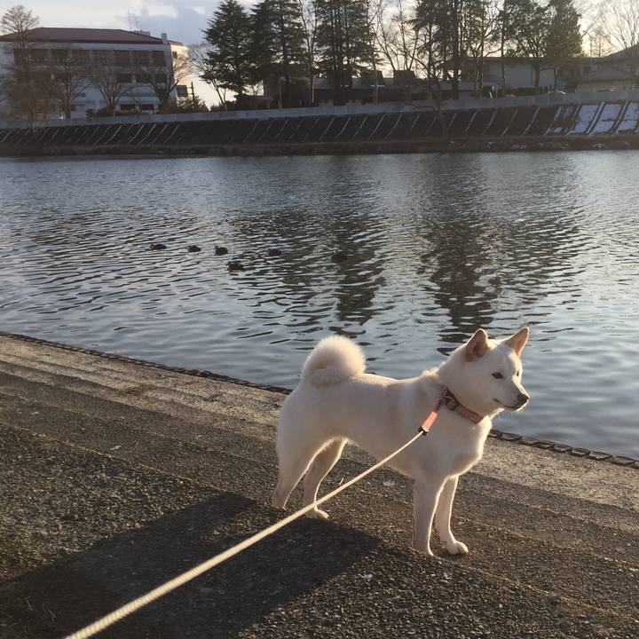 1e19e8a5 dd3f 4e80 a7d8 0170ce325c0f