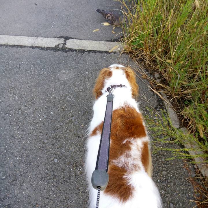 1e1a10de 0e22 4050 93f4 3681179d4cfe