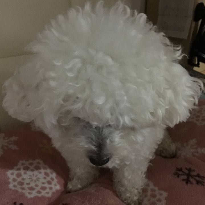 1e1b375a e678 4931 a6b3 820c165cf0d5