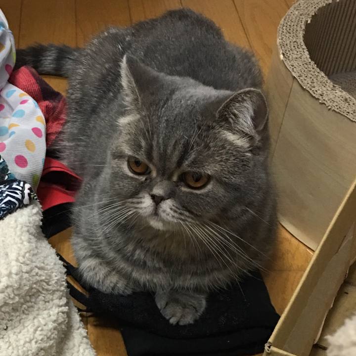 1e1bd392 7953 4d8f 810f 1ed63cb390da