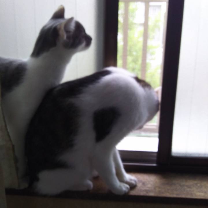 1e1c56e3 d320 4aaa 8198 dbb1fae1d78b