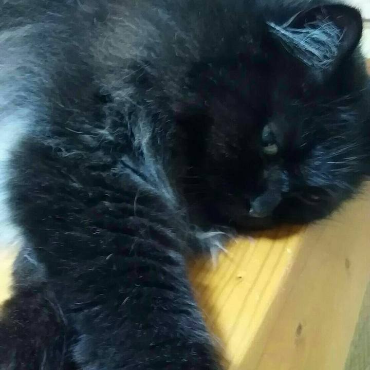 1e1dc771 6623 4fdb a879 20946e9edc3f