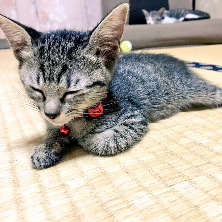 1e1decef d8d1 4234 b9bf ab54bf55df23