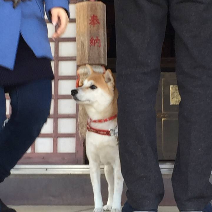 1e1e155e fa47 4844 b865 f7060614a7ff