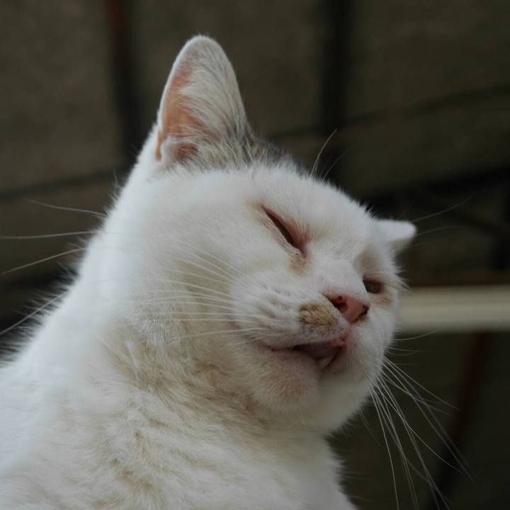 1e1e8ce3 d1d8 4f5e b774 b49a1eb486ce