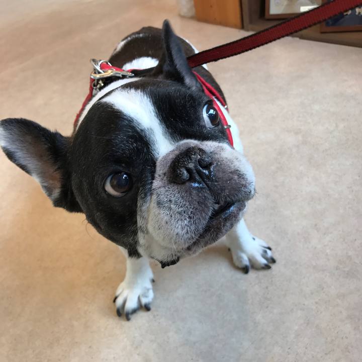 1e1ecbfd cbbe 4571 9c83 ccbed8d6175c