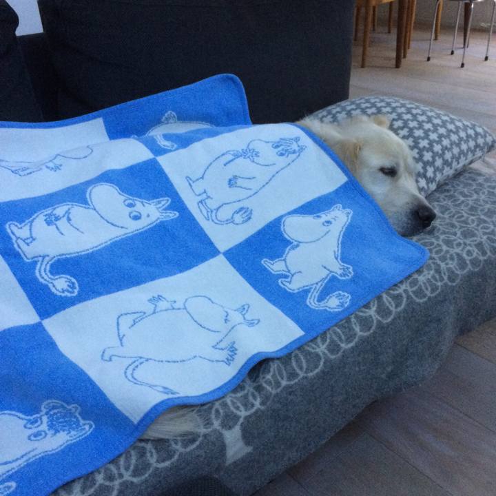 1e1eefd7 dd44 4135 9909 d0f0d2fa7ec9