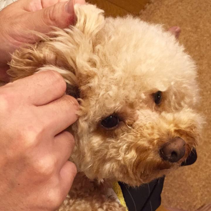 1e1f0f76 edf6 4c0c b14e 2bd52309d470