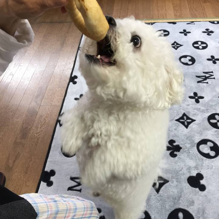 1e1fa3eb c497 40c7 a4e1 df1e51b5d6e9