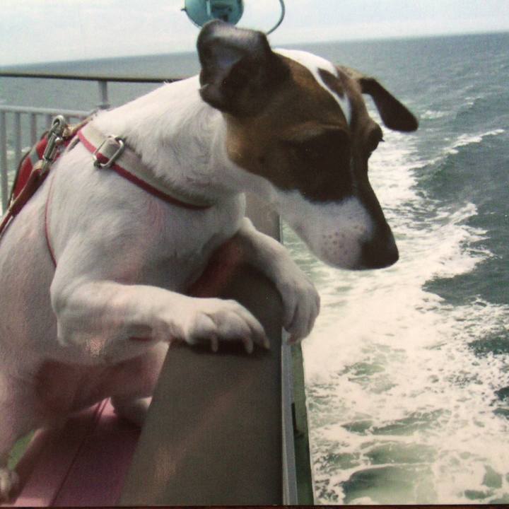 1e1fadb8 e868 4c84 968a eca495082edf