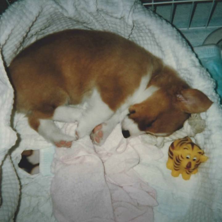 1e20e4f2 6598 4308 89ef 88935c460f94