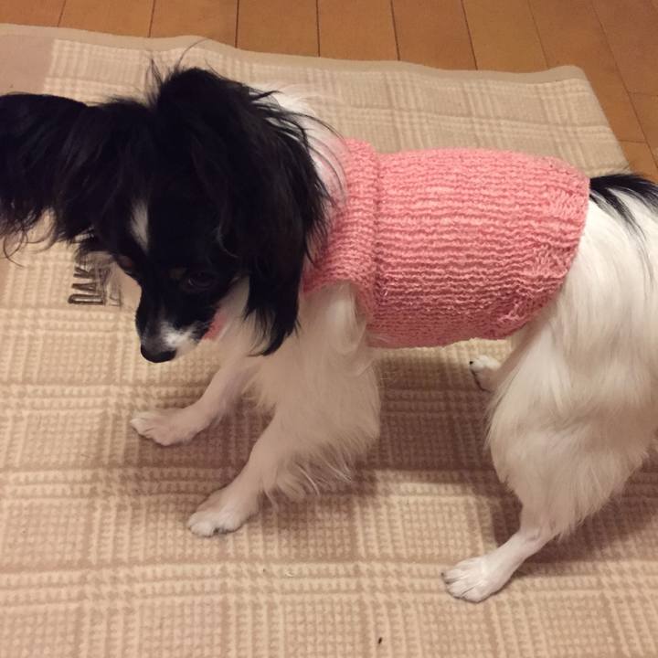 1e210c30 7f20 46f5 a00f af2a880595be