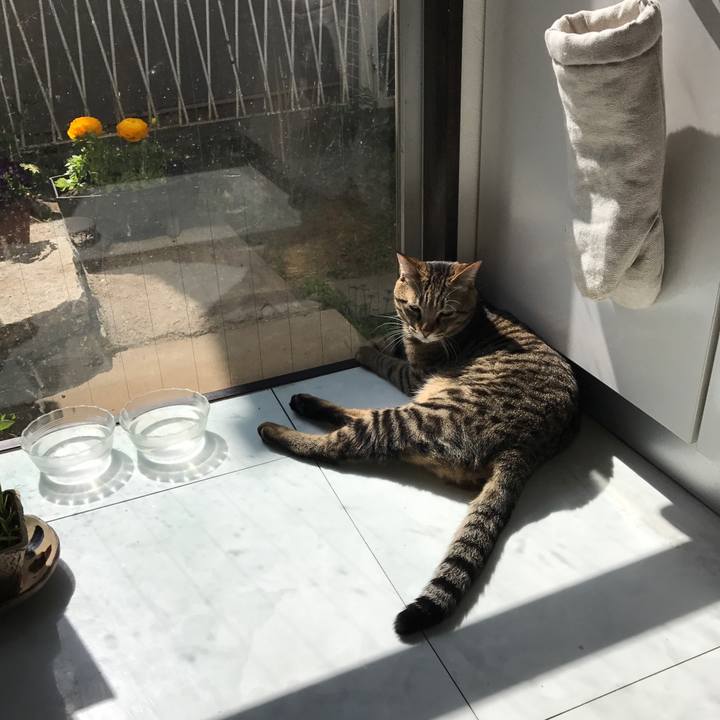 1e21aa7e bcef 4e15 ae3d 42dfe1ca6c8c