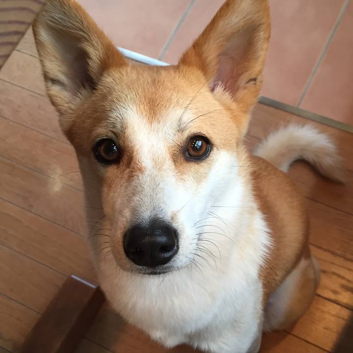 1e220265 f886 4f9d 900b fe997d300117