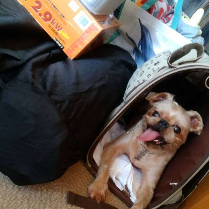 1e22a193 1d60 41dd b3cf aa40d398fffa