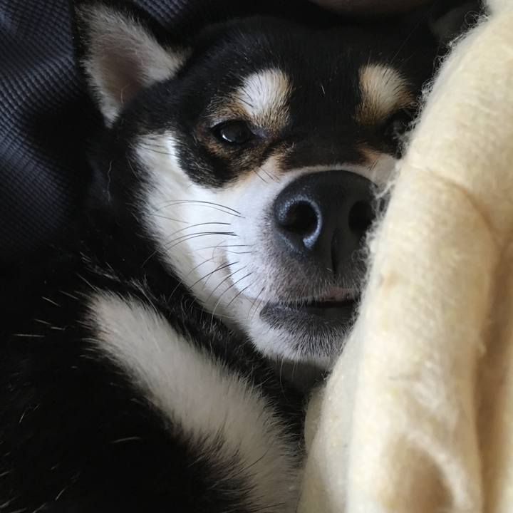 1e233ee1 1b73 4097 9780 a8a57fd1a45f