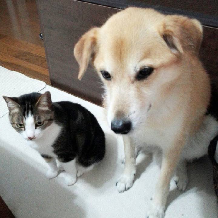 1e24424f 677a 4c31 a9bf 12943a24d6be