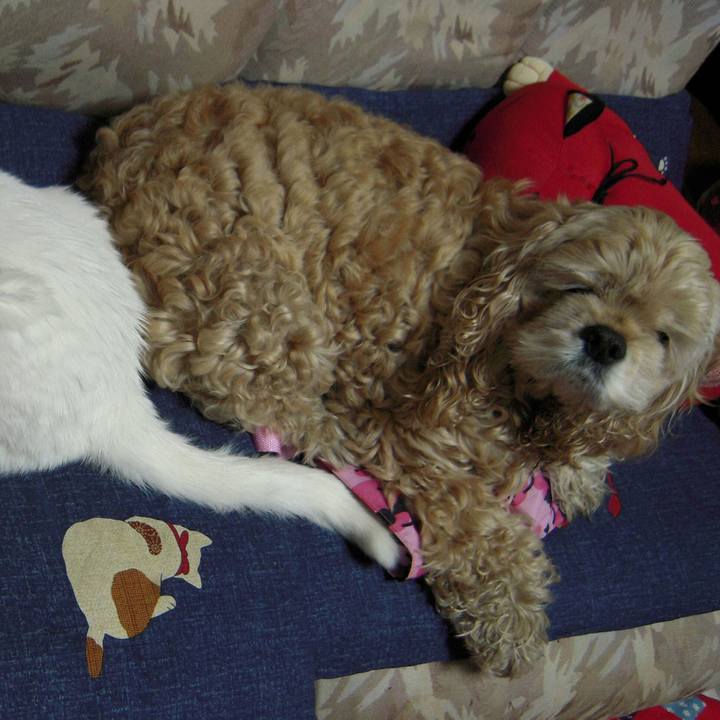 1e24e446 dc66 4d65 9fab d2f7881c2818