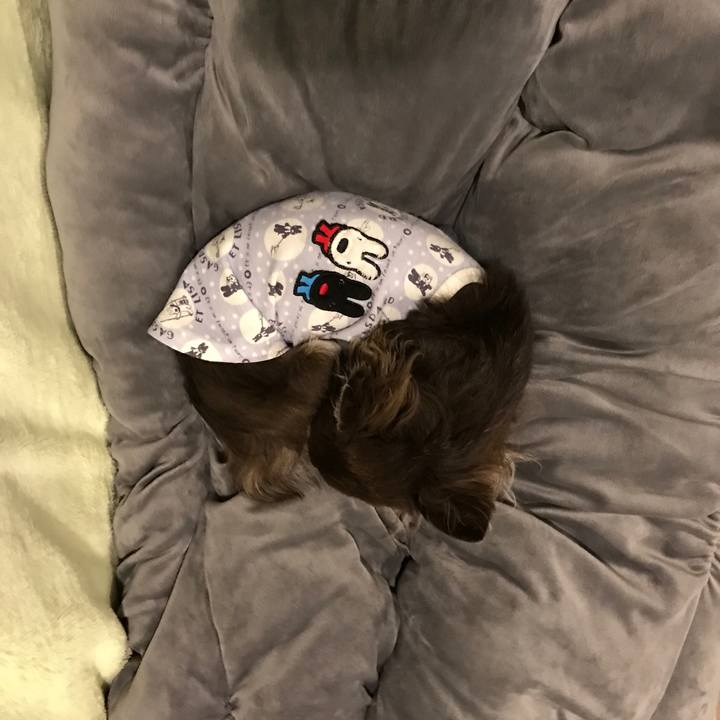 1e24fc7d d272 4ba8 a2bf bad627086aa7