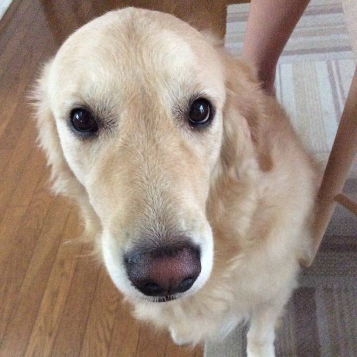 1e252bd1 ba21 48c6 8ac3 bd25e1d06ae3