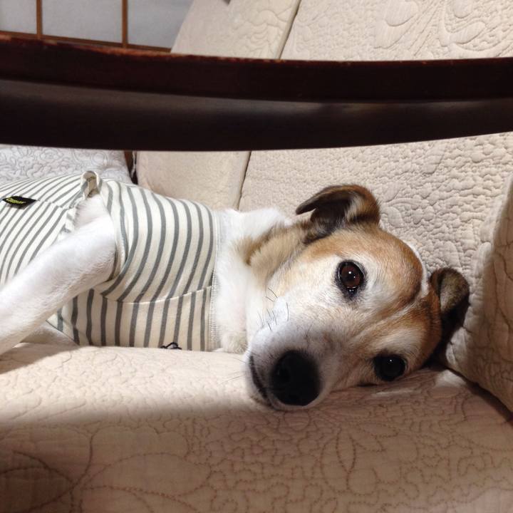 1e256e92 a1cf 4532 a2fc b312b702d018