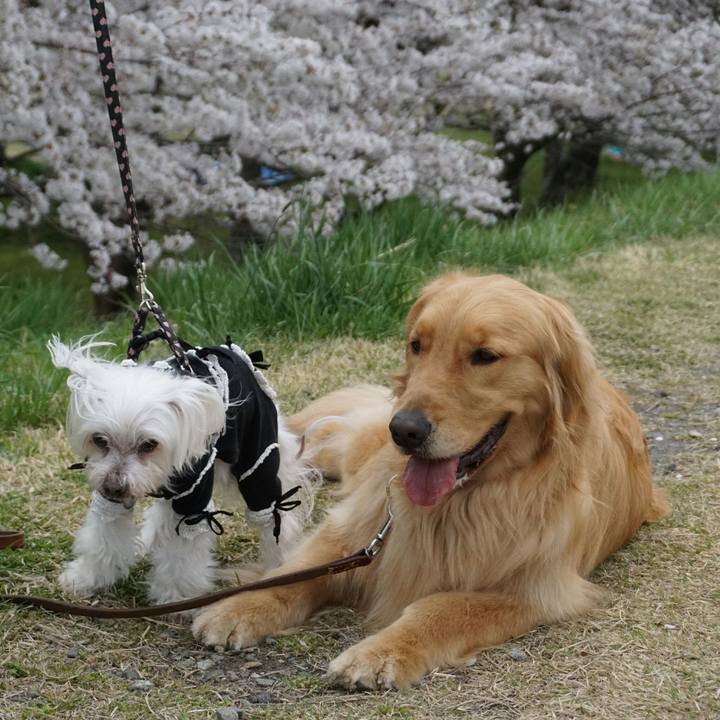 1e273596 96dc 4d1d b2bf e5bc6cbf7765