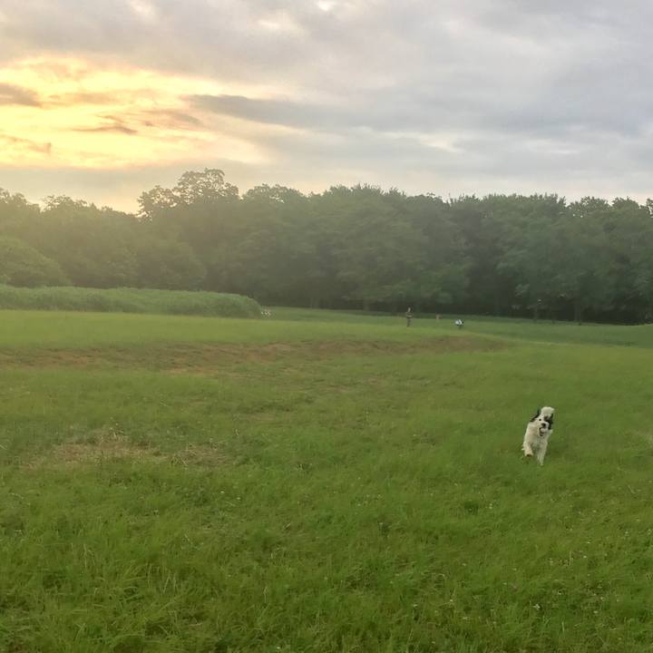 1e286f8f 42bb 46c5 9c36 3bcef43615f9