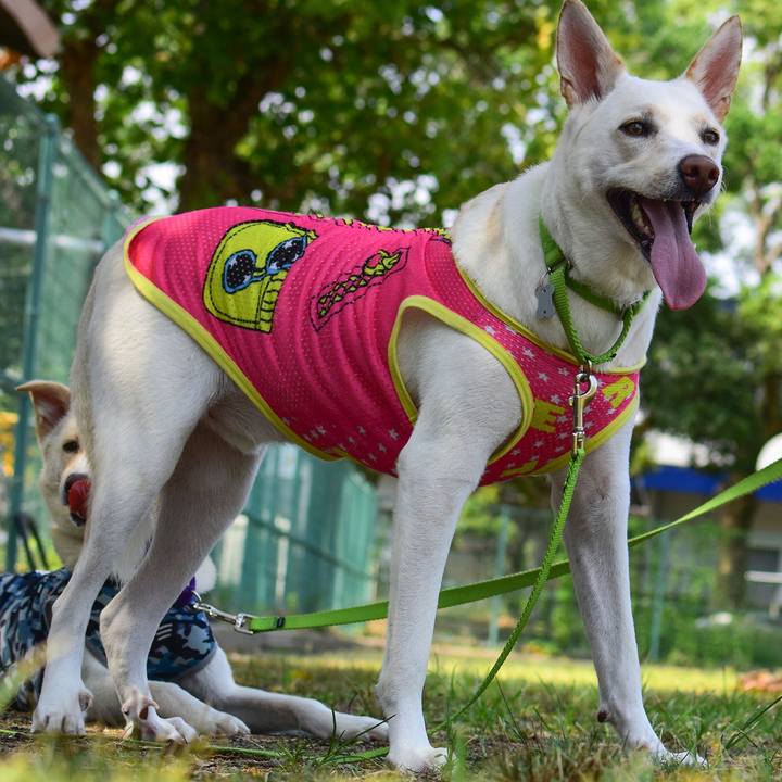 1e2897ad a71d 4e74 8824 20dd113c3926