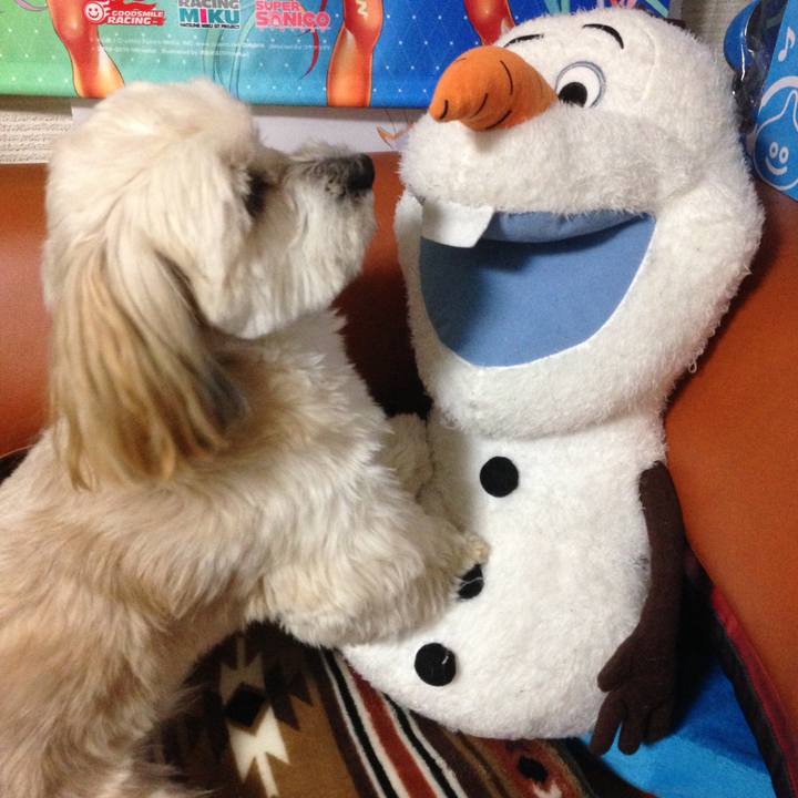 1e2908e8 141a 4a7e 9752 4d4811ca8191