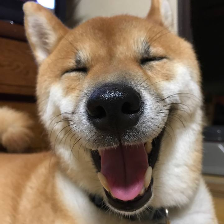 1e290a9d c88e 49f0 863f a3cb19bbe7cf