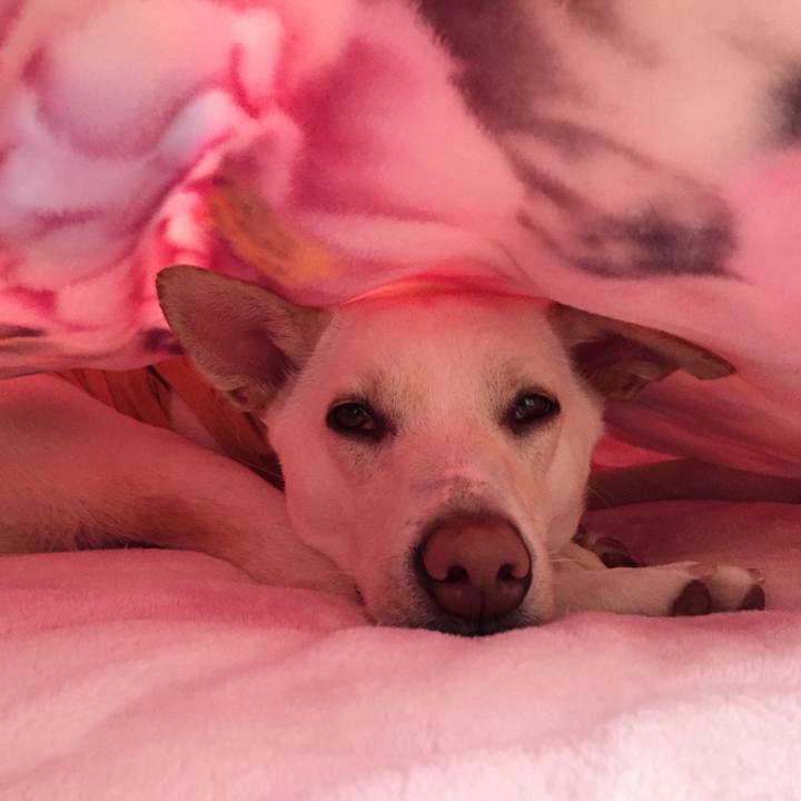 1e297e3b 04a3 480c 8472 e046959adbf1