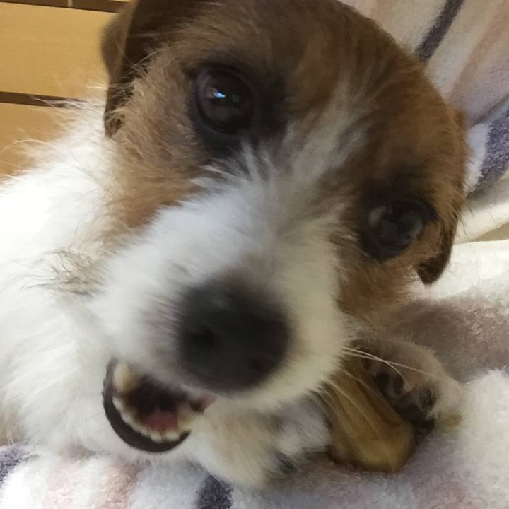 1e29dd42 0650 4970 a8ad 91041dce1d88