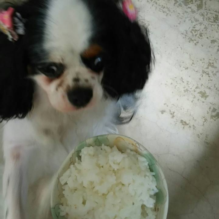 1e29f112 b974 4a89 af3c 097679a6bf32