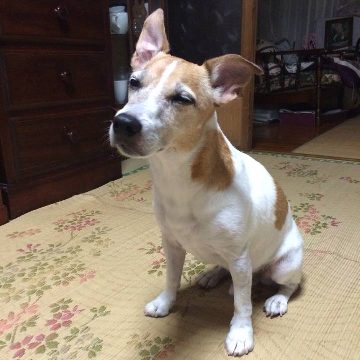 1e2ab5b8 7fea 414d b0c3 ff7b5c35f92f