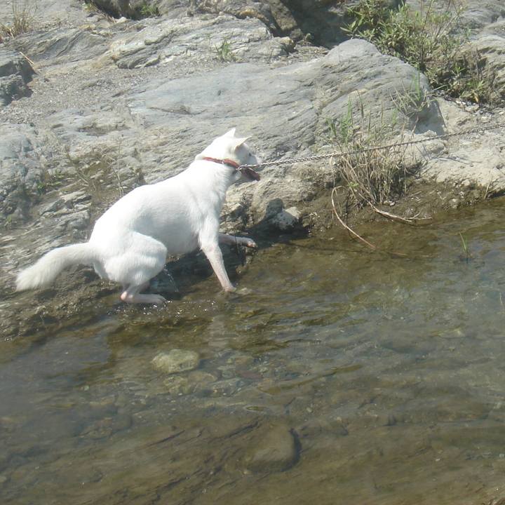 1e2ac7b3 9717 46ff 8681 84115ffc028d