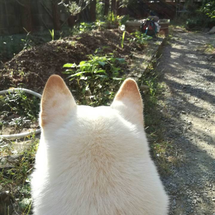 1e2b2818 6e58 4f46 ae83 ef2dbb0acc22