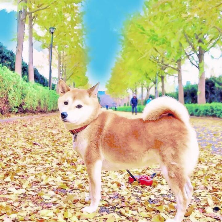 1e2b665d e2dc 4f78 b10a 54d322b38435