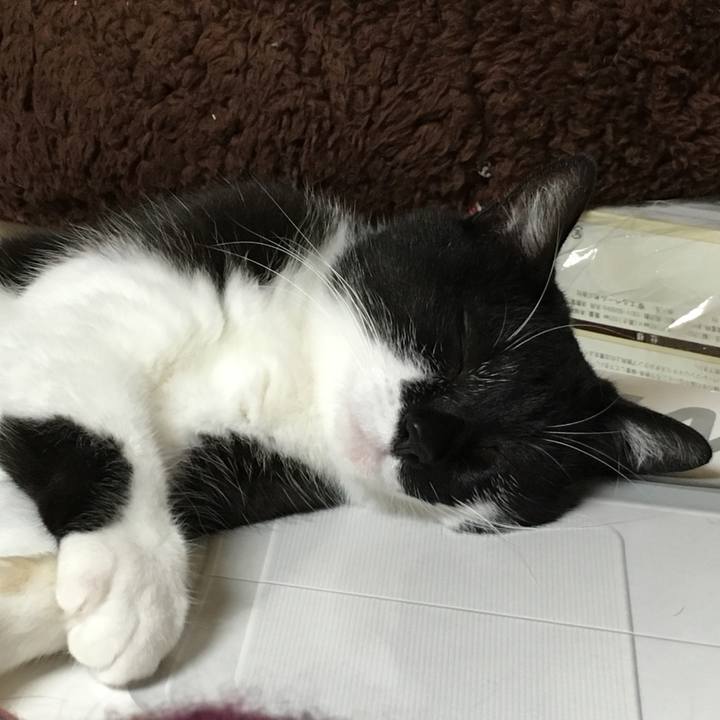 1e2bbd43 6de3 4f52 81ff 5ddf010891a1