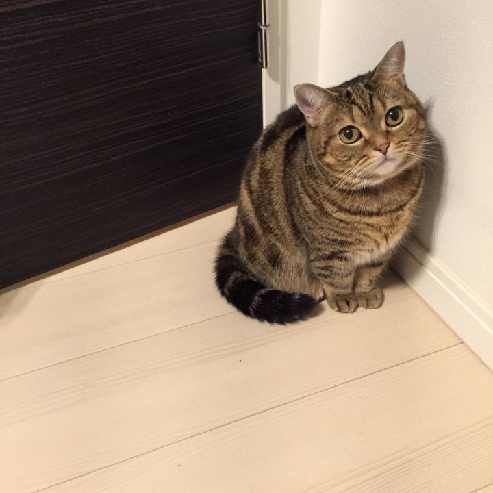 1e2bdab9 b553 4c9f 86cb c6c4e756c592